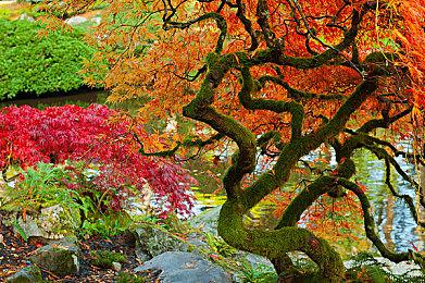 高玩计划用虚幻5打造《我的世界》高清版方块世界